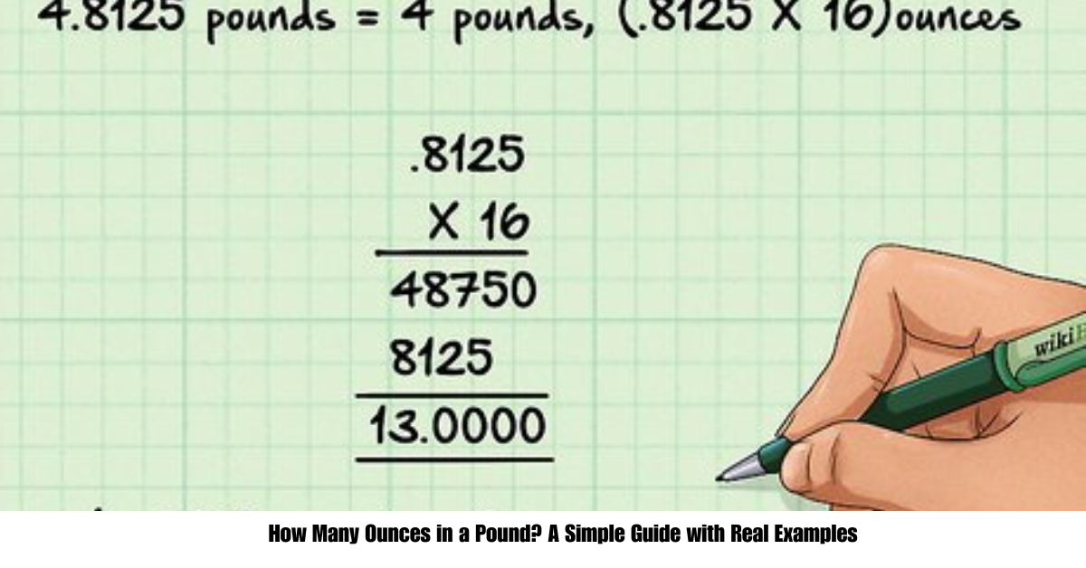 How Many Ounces in a Pound? A Simple Guide with Real Examples
